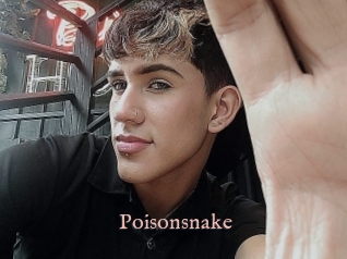 Poisonsnake