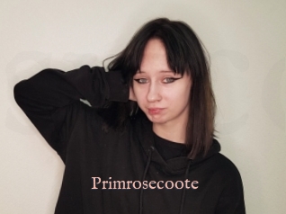 Primrosecoote