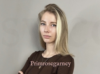 Primrosegarney