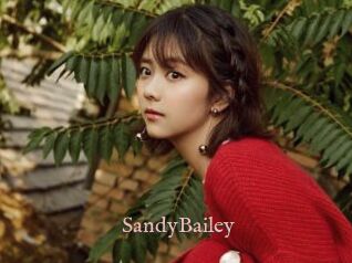 SandyBailey