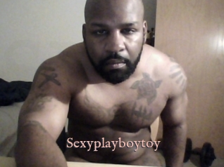 Sexyplayboytoy