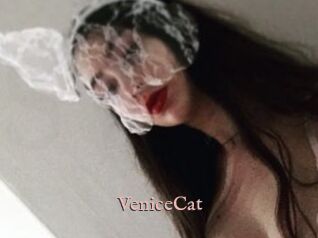 VeniceCat