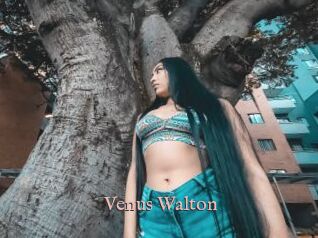 Venus_Walton