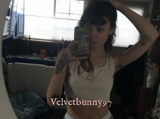 Velvetbunny97