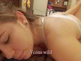 Venus_wild