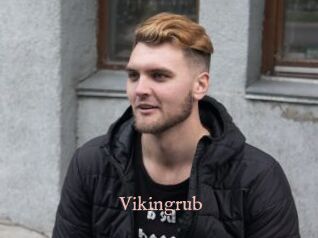 Vikingrub